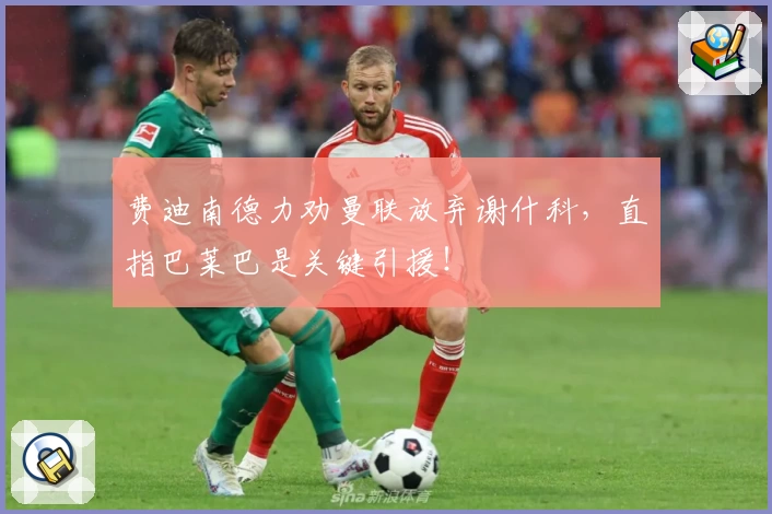 费迪南德力劝曼联放弃谢什科,直指巴莱巴是关键引援!