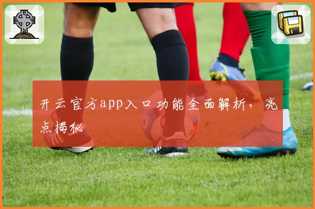 开云官方app入口功能全面解析，亮点揭秘