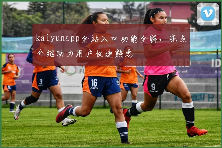 kaiyunapp全站入口功能全解，亮点介绍助力用户快速熟悉