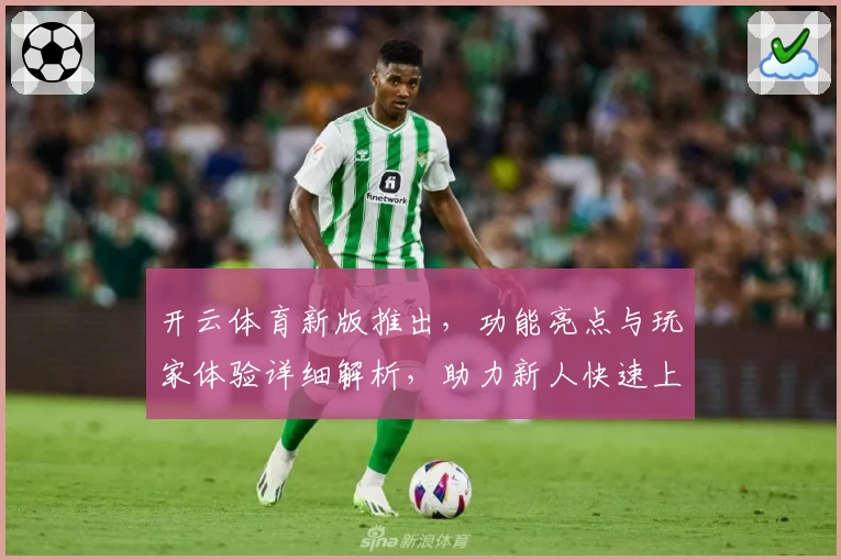 开云体育新版推出，功能亮点与玩家体验详细解析，助力新人快速上手