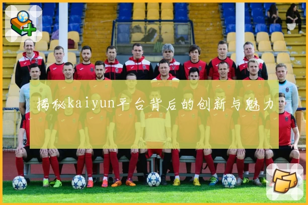 揭秘kaiyun平台背后的创新与魅力