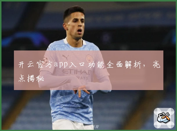 开云官方app入口功能全面解析，亮点揭秘